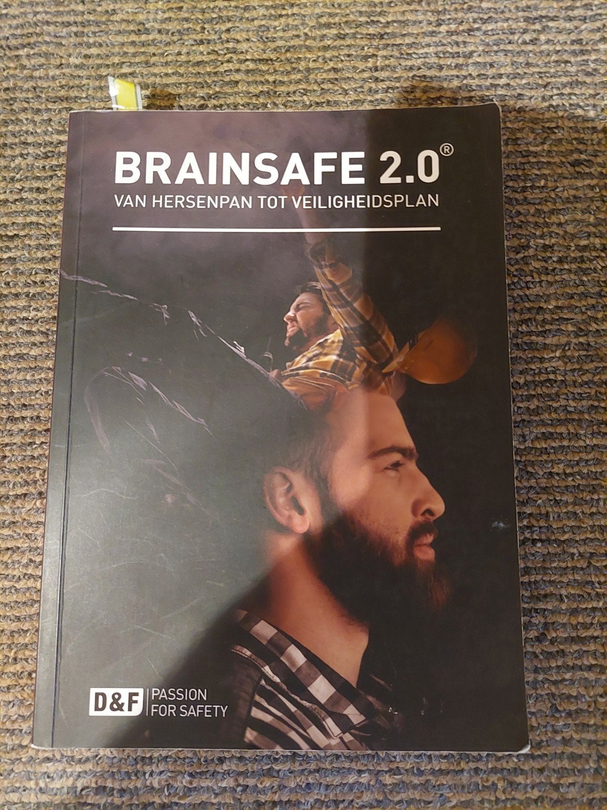 BRAINSAFE 2.0: Van Hersenpan tot Veiligheidsplan, Gerd-Jan Frijters, Gamma, Overige niveaus, Ophalen
