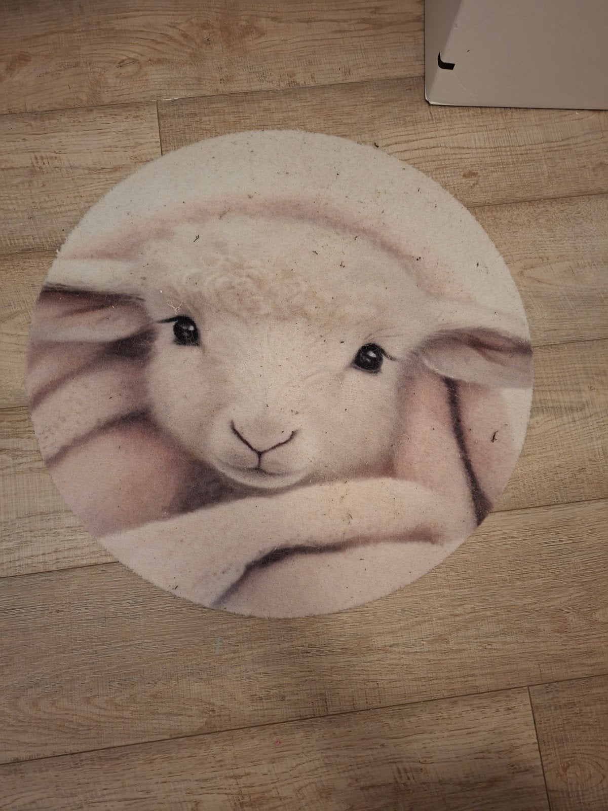 Vloerkleed van waggel en zijn vriendjes, Ophalen, Gebruikt, Kleed of Kussen