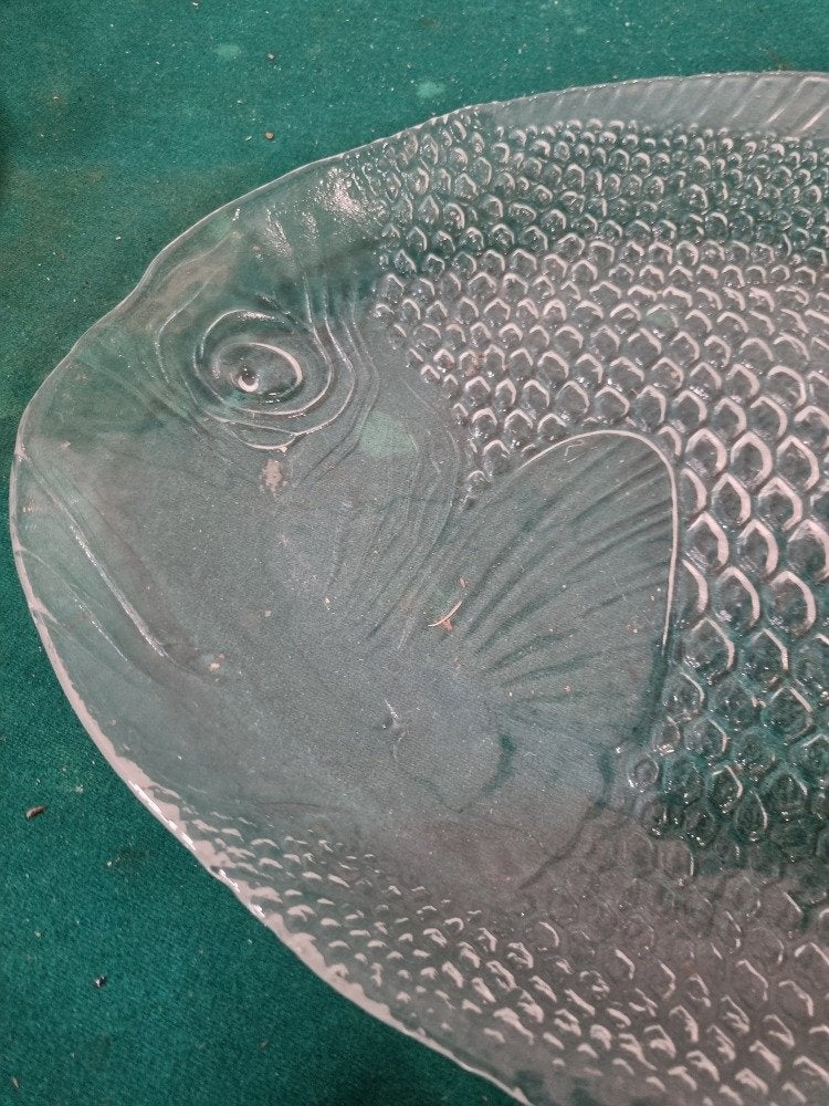 visschaal groot glas arcoroc, Ophalen of Verzenden, 'T Olde Gre-j, Info@toldegrej.nl, Endepoelstraat 20f Didam