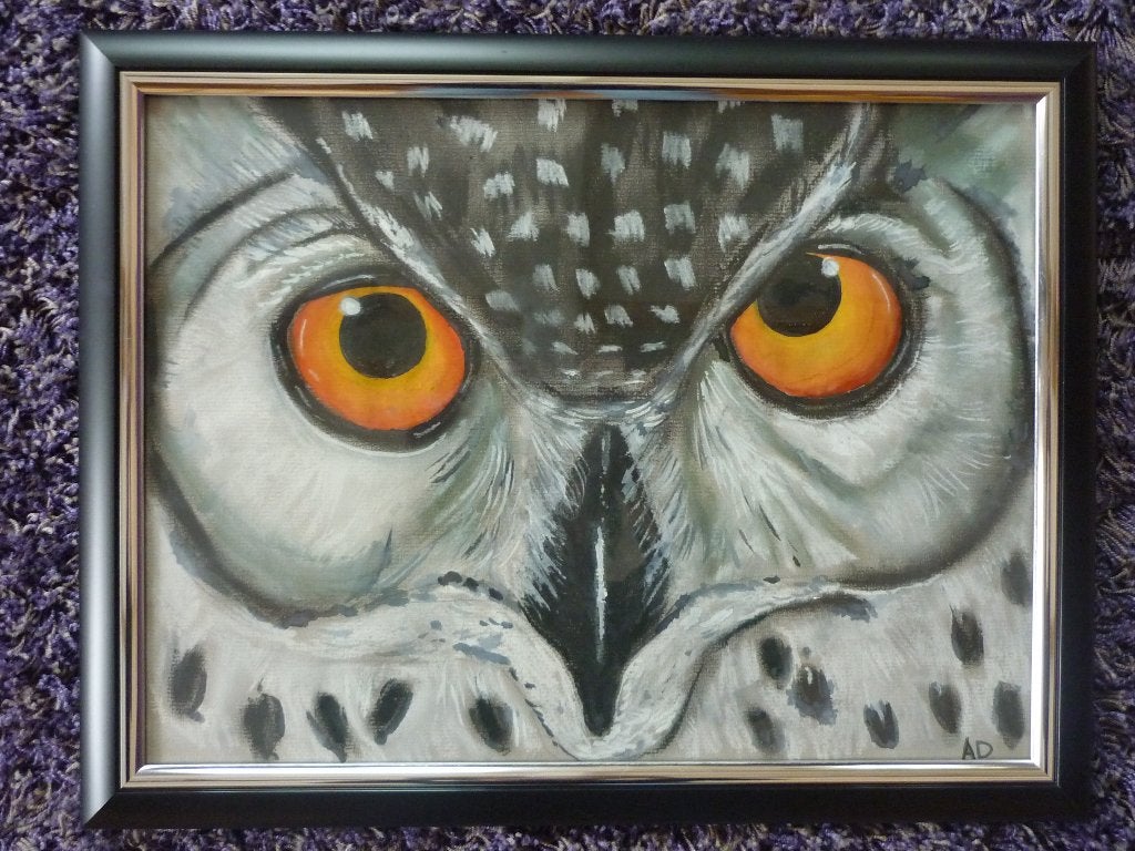 Uil, Realistisch, Dieren, Papier, Pastel