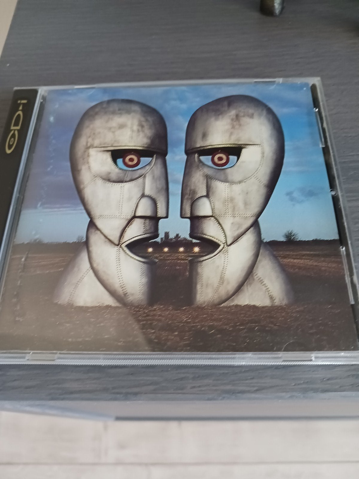 Pink Floyd - The Division Bell CD, Ophalen of Verzenden, Gebruikt
