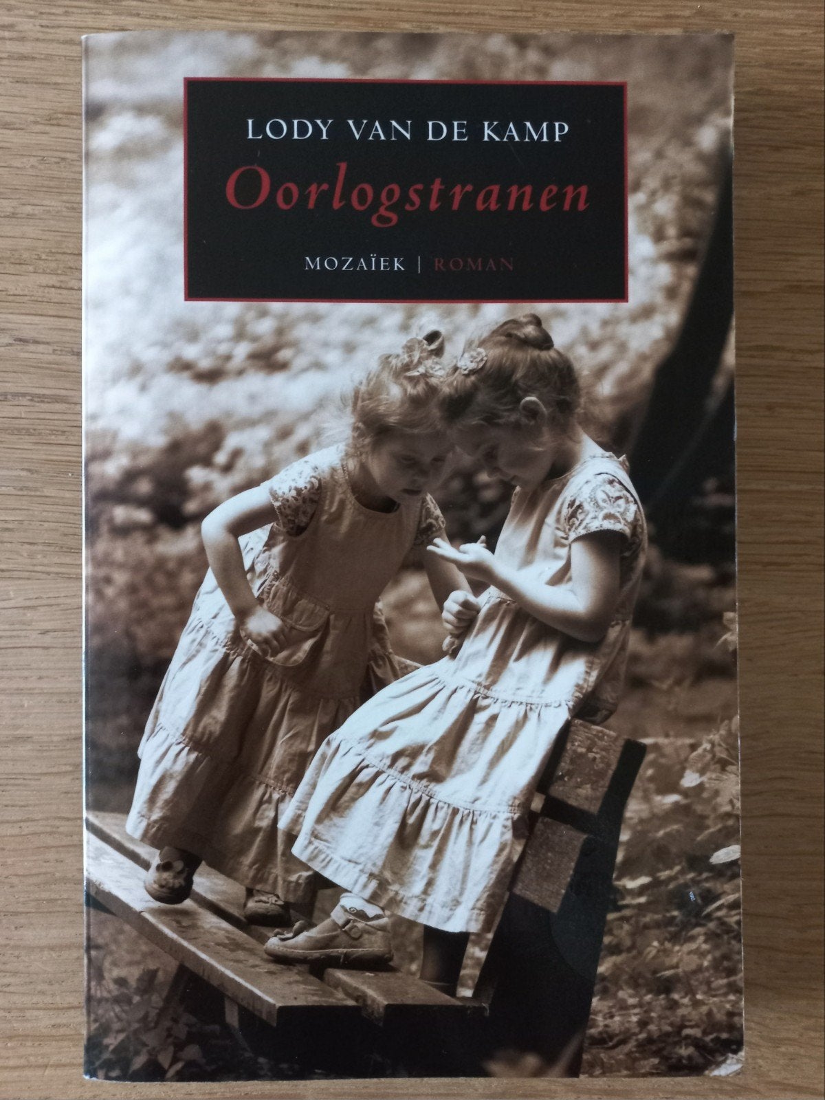 Oorlogstranen, Lody van de Kamp, chr. 2e Wereldoorlog, ZGAN!, Boeken, Ophalen of Verzenden, Tweede Wereldoorlog, Zo goed als nieuw