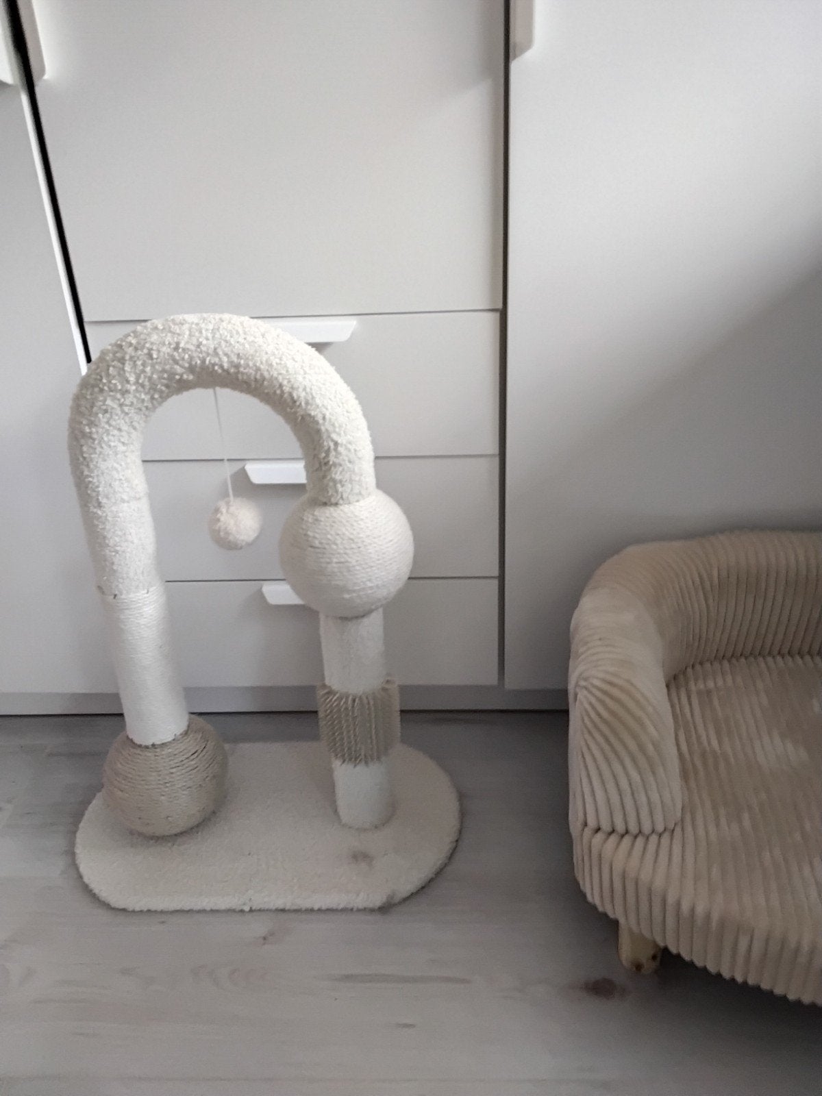 katten, Ophalen, Nieuw