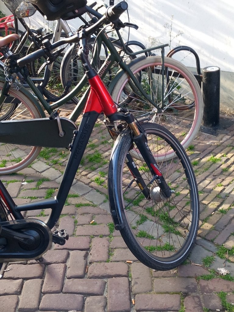 Pegasus premio sl, Minder dan 10 versnellingen, 50 tot 53 cm, Trommelrem, Ophalen