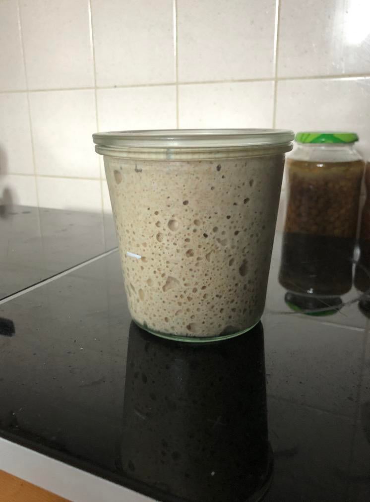 HAND- EN HOMEMADE ZUURDESEM STARTER, Ophalen