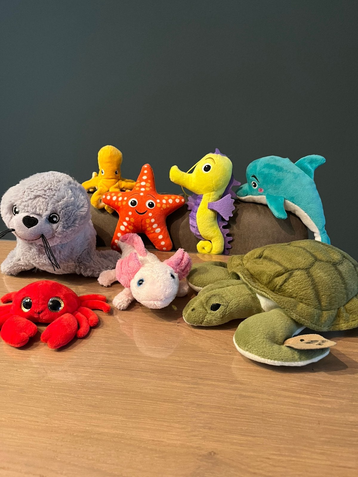 Leuke set zeedieren knuffels, Ophalen of Verzenden, Zo goed als nieuw, Overige typen