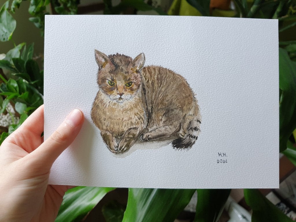 Kat aquarel tekening op papier moderne kunst, Ophalen, Minder dan 50 cm, Nieuw, 5 – 50