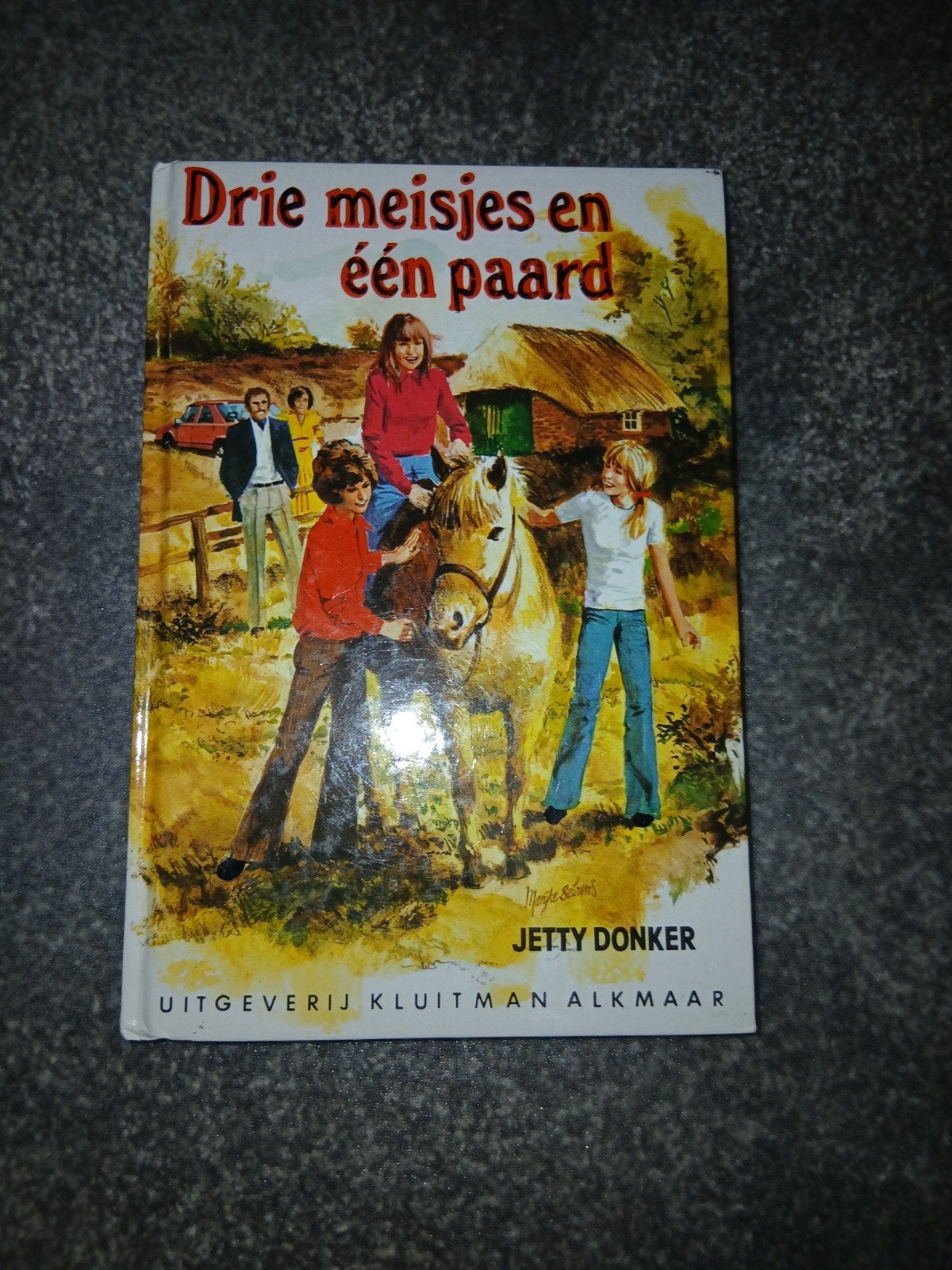 Drie meisjes en één paard - Jetty Donker, Boeken, Ophalen, Gelezen, Jetty Donker, Fictie
