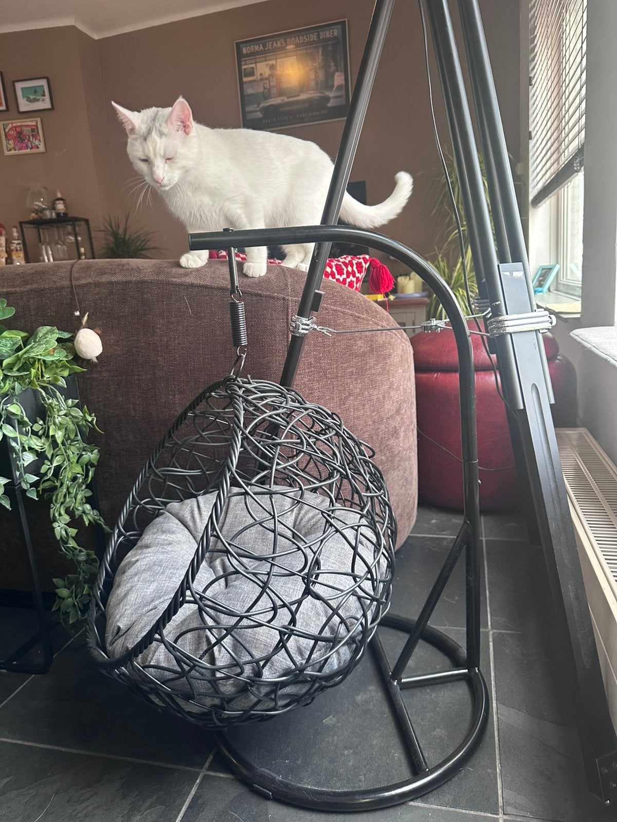 Hangmat kat, Ophalen of Verzenden, Zo goed als nieuw