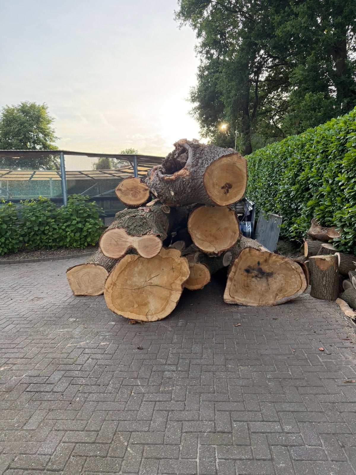 Eiken houten stammen, Tuin en Terras, Palen, Balken en Planken, Ophalen, 250 cm of meer, Overige typen