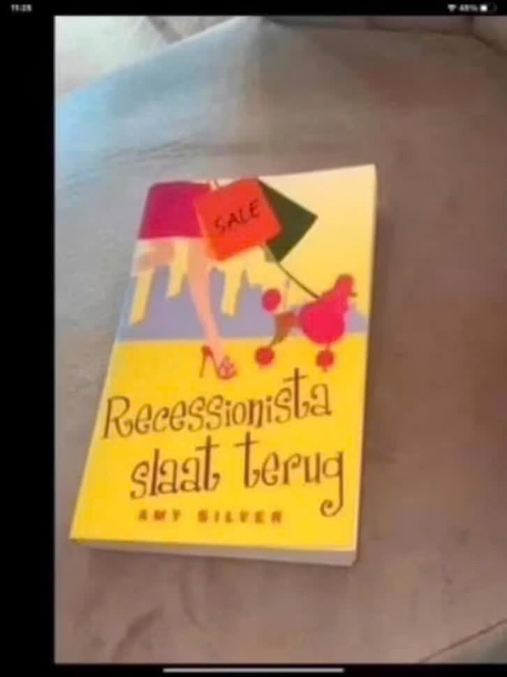 Recessionista Slaat Terug - Amy Silver (Boek), Gelezen, Europa overig, Ophalen of Verzenden, Amy Silver