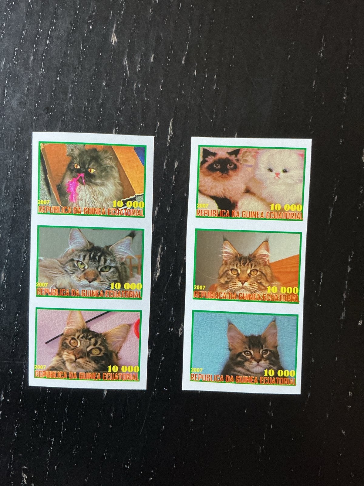 Postzegels Equatoriaal-Guinea 2007 - Katten Thema, Ophalen of Verzenden, Postfris, Dier of Natuur