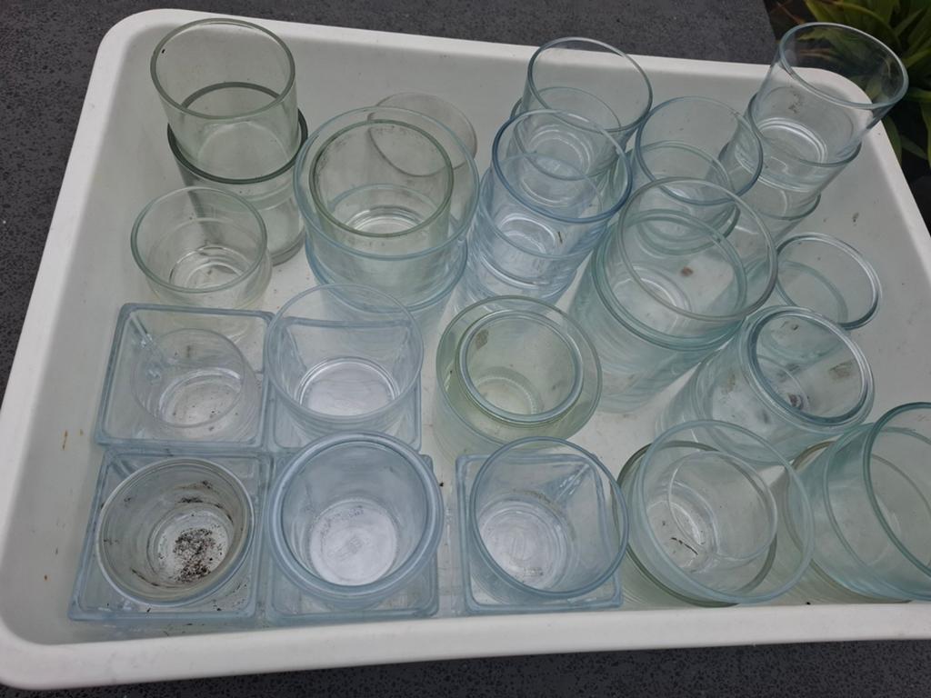 Glazen potjes, Ophalen, Kweekbak