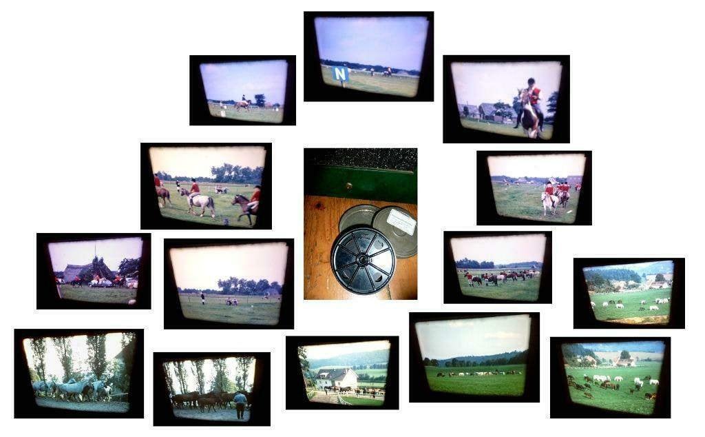 16mm film amateur 1950 1960 pony kur - lippezaners - mooi, Ophalen of Verzenden, 16mm film