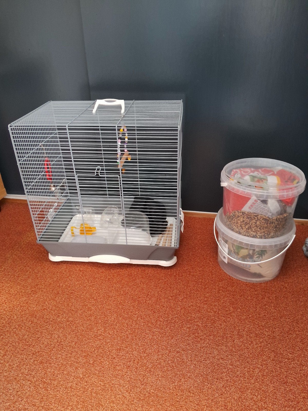 Mooie vogelkooi, Ophalen, Zo goed als nieuw, Metaal, Vogelkooi