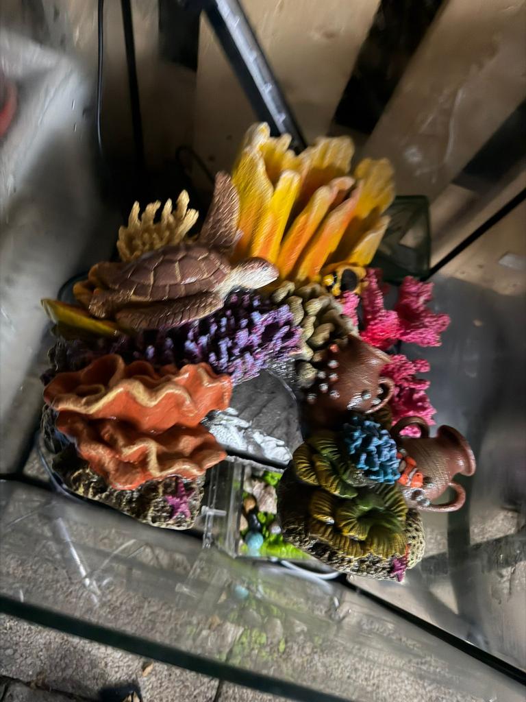 vissen aquarium compeleet met visglascom verwarmt en filter, Dieren en Toebehoren, Ophalen of Verzenden, Zo goed als nieuw