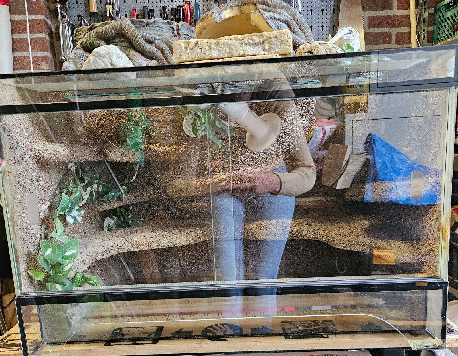 terrarium 60x40x40, Ophalen, Zo goed als nieuw, Terrarium of Paludarium