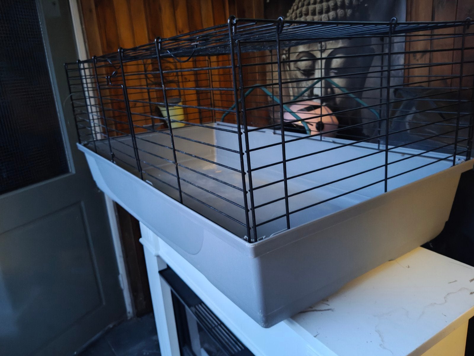 Hamster of cavia kooi met tralies, Dieren en Toebehoren, Knaagdieren en Konijnen | Hokken en Kooien, Kooi, Gebruikt, Cavia, 75 tot 110 cm
