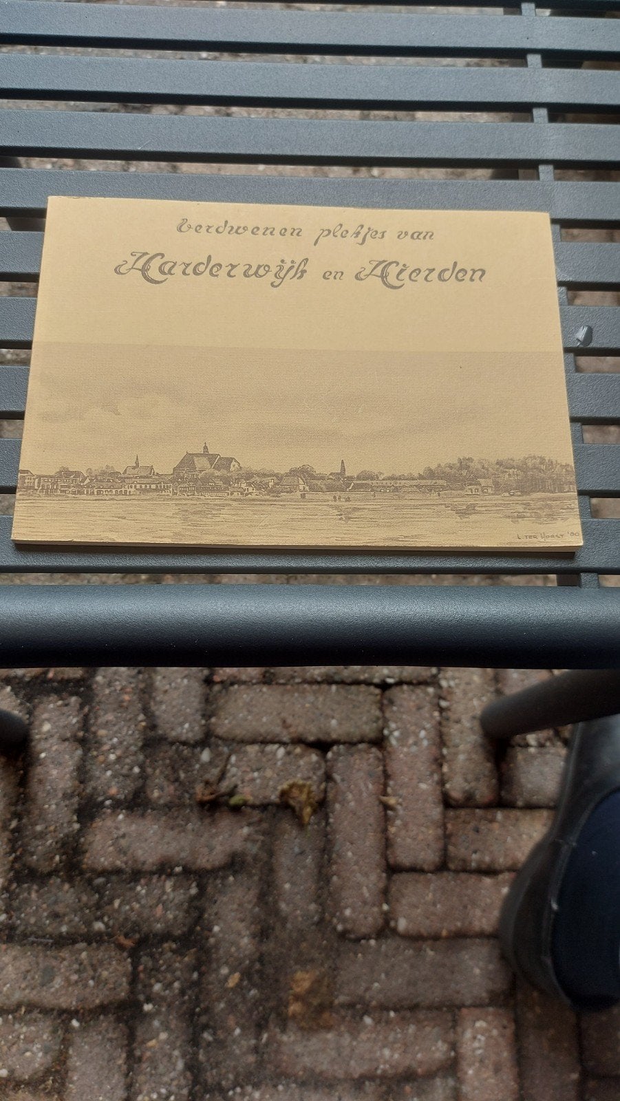 Verdwenen plekjes van Harderwijk en Hierden - Etsen, Ets, Stadsgezicht, Ophalen of Verzenden, Origineel