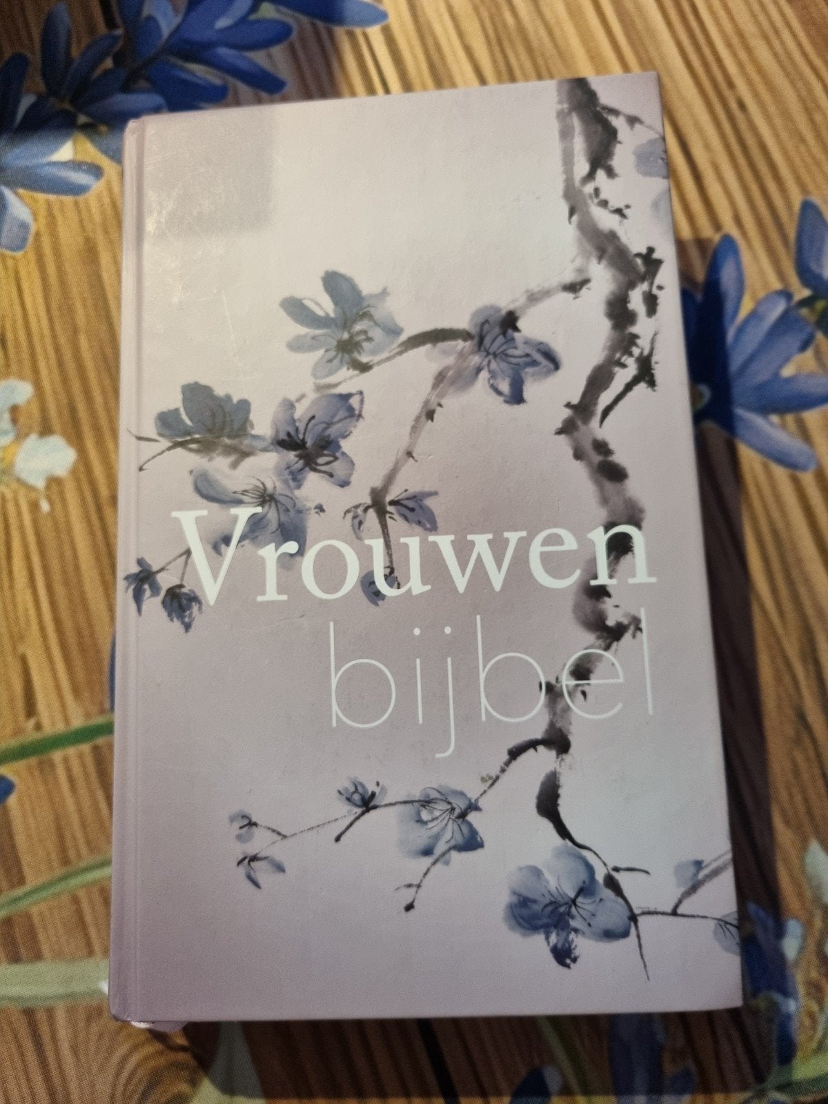 Vrouwen bijbel, Boeken, Ophalen of Verzenden, Gelezen