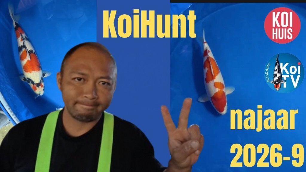 Japanse koi video koihunt deel 9 gratis, Karper of Koi