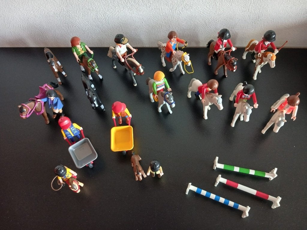 Playmobil set paarden met amazones, verzorgers & oxers, Ophalen of Verzenden, Zo goed als nieuw, Complete set