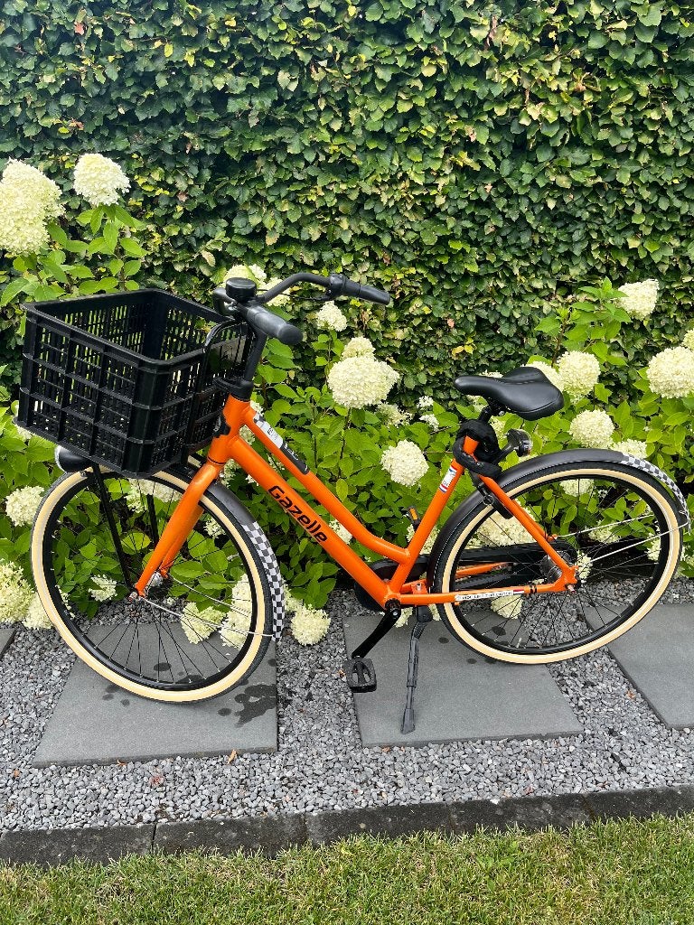 Fiets, Ophalen, Terugtraprem, 53 tot 56 cm, Versnellingen