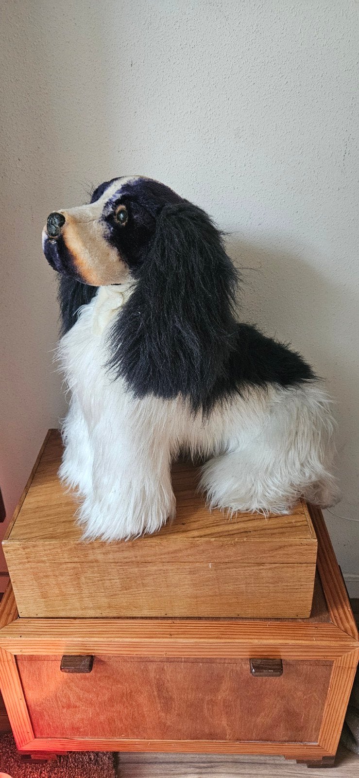 Grote pluche Cavalier King Charles Spaniel, Ophalen of Verzenden, Gebruikt