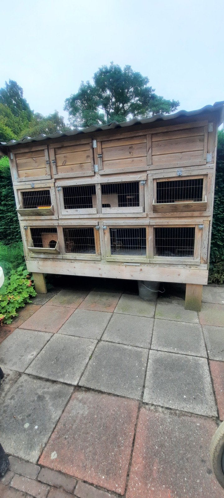 Konijnen / Cavia Villa, Ophalen, 90 cm of meer, Konijn, Hok