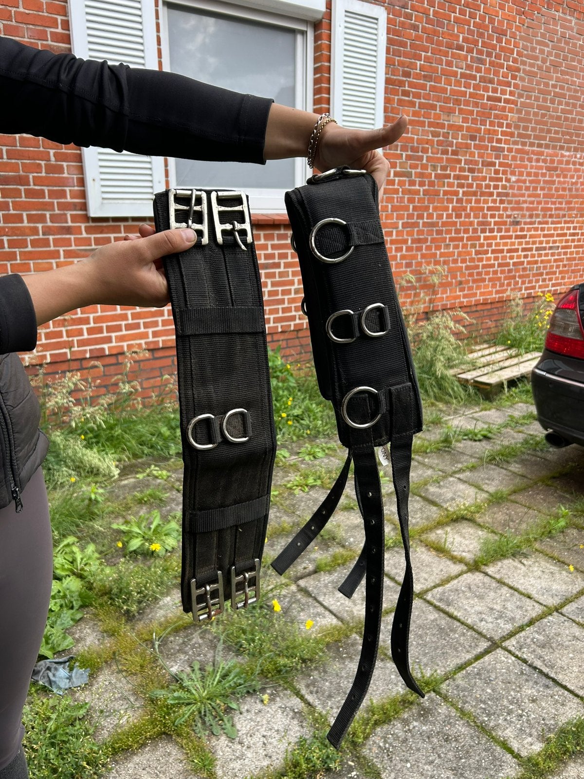 Longeersingel, Dieren en Toebehoren, Ophalen of Verzenden, Gebruikt, Overige soorten