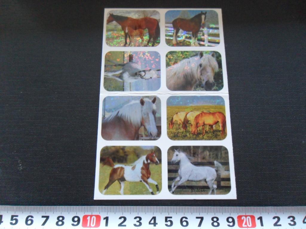 sticker set Paard Paarden GD092, Verzamelen, Stickers, Zo goed als nieuw, Ophalen