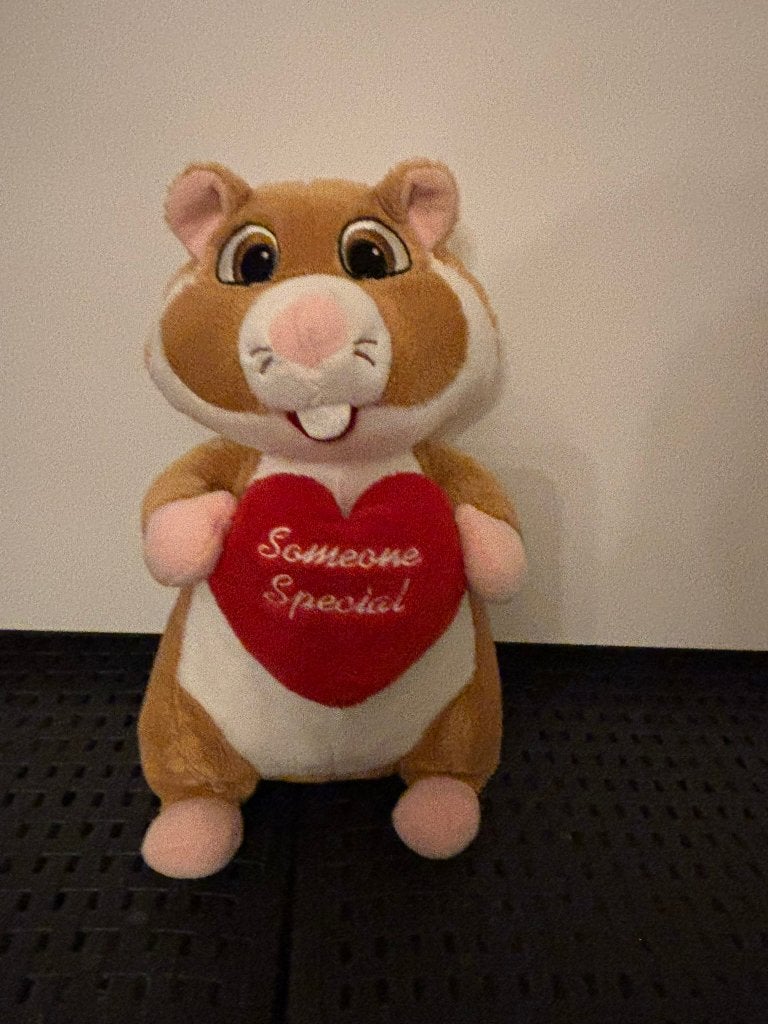 Ah albert heijn hamster knuffel met hartje someone special!, Kinderen en Baby's, Speelgoed | Knuffels en Pluche, Overige typen