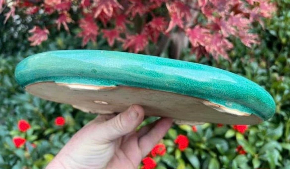 Bonsai schaal groen geglazuurd aardewerk 28,3x18,1x3,3, Ophalen of Verzenden, Zo goed als nieuw, Overige vormen, Aardewerk