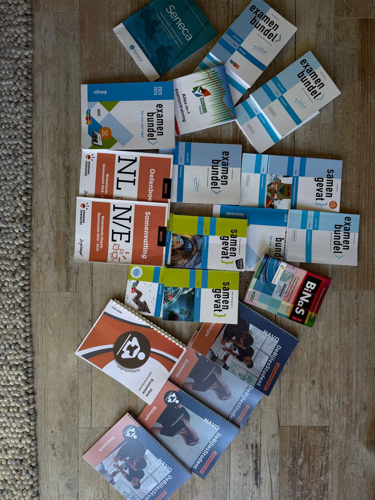 Havo Examenbundels en Samenvattingen - profiel E&M, Ophalen of Verzenden, Gelezen, HAVO, Overige vakken