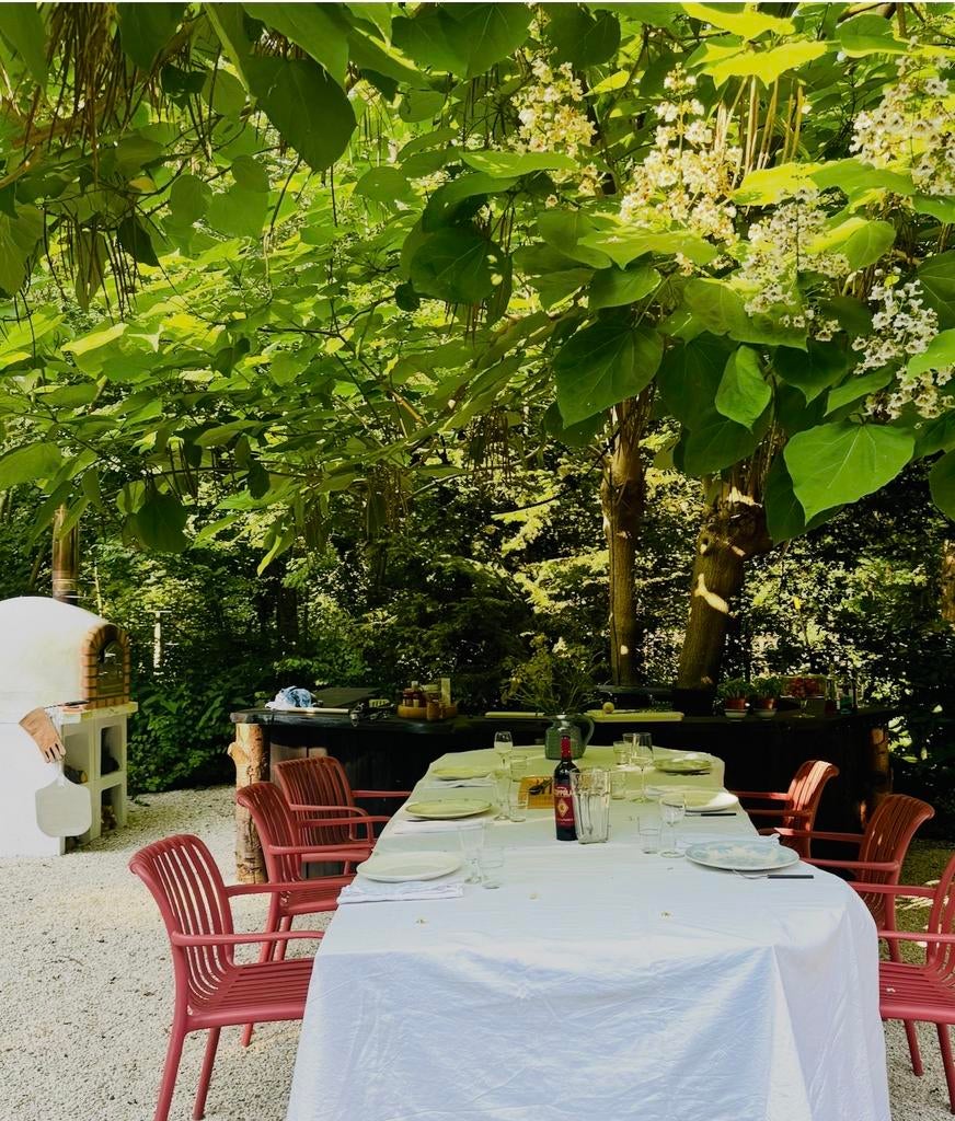 Catalpa bignonioides - Groene Trompetboom (3 jaar), Tuin en Terras, Vaste plant, Halfschaduw, Zomer, Ophalen