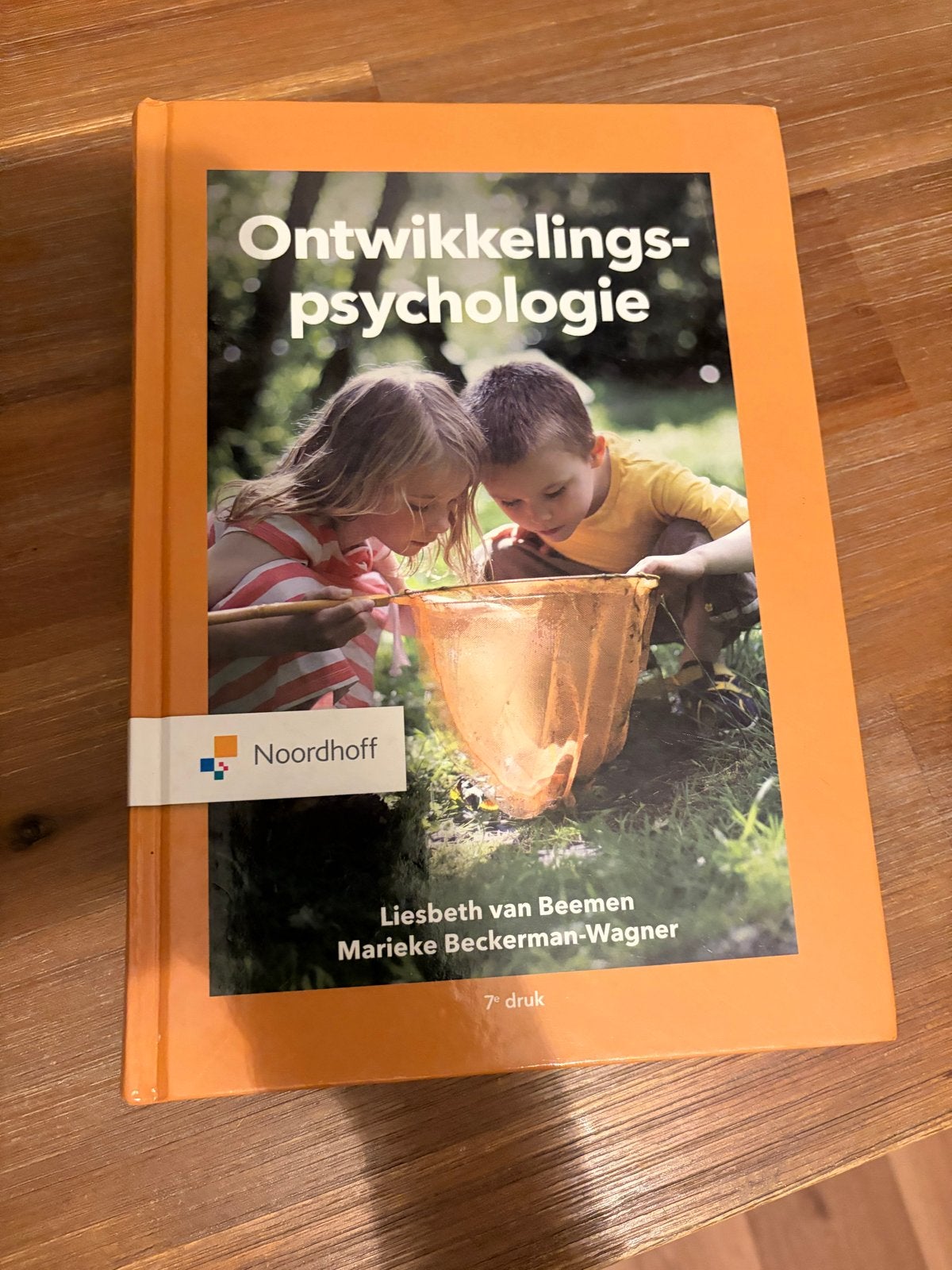 Ontwikkelingspsychologie - Liesbeth van Beemen, Marieke Beck, Ophalen of Verzenden, Gamma, Zo goed als nieuw, HBO
