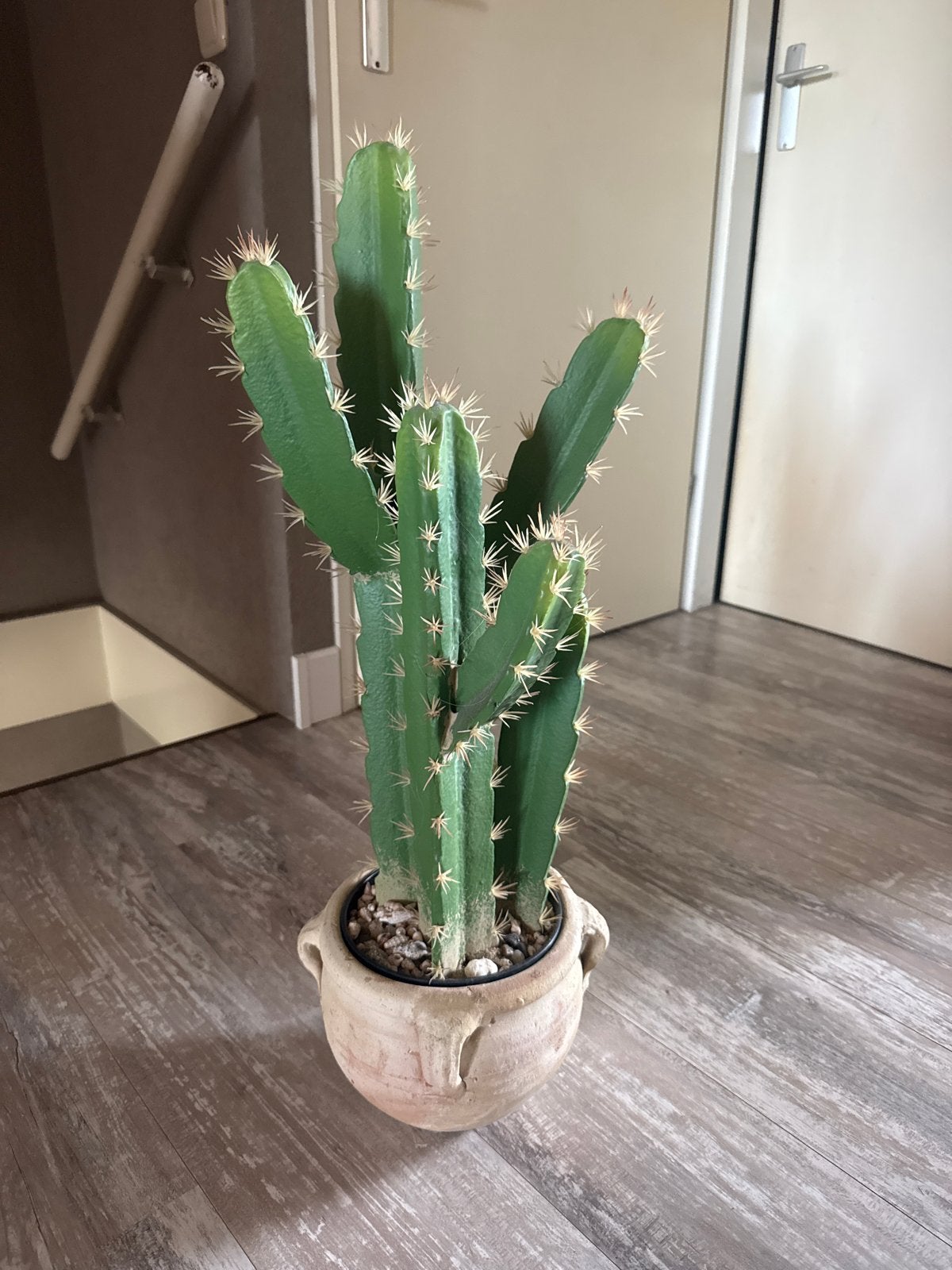 Grote Cactus in Terracotta Pot - Perfect voor uw Interieur, Ophalen, 100 tot 150 cm, In pot, Cactus