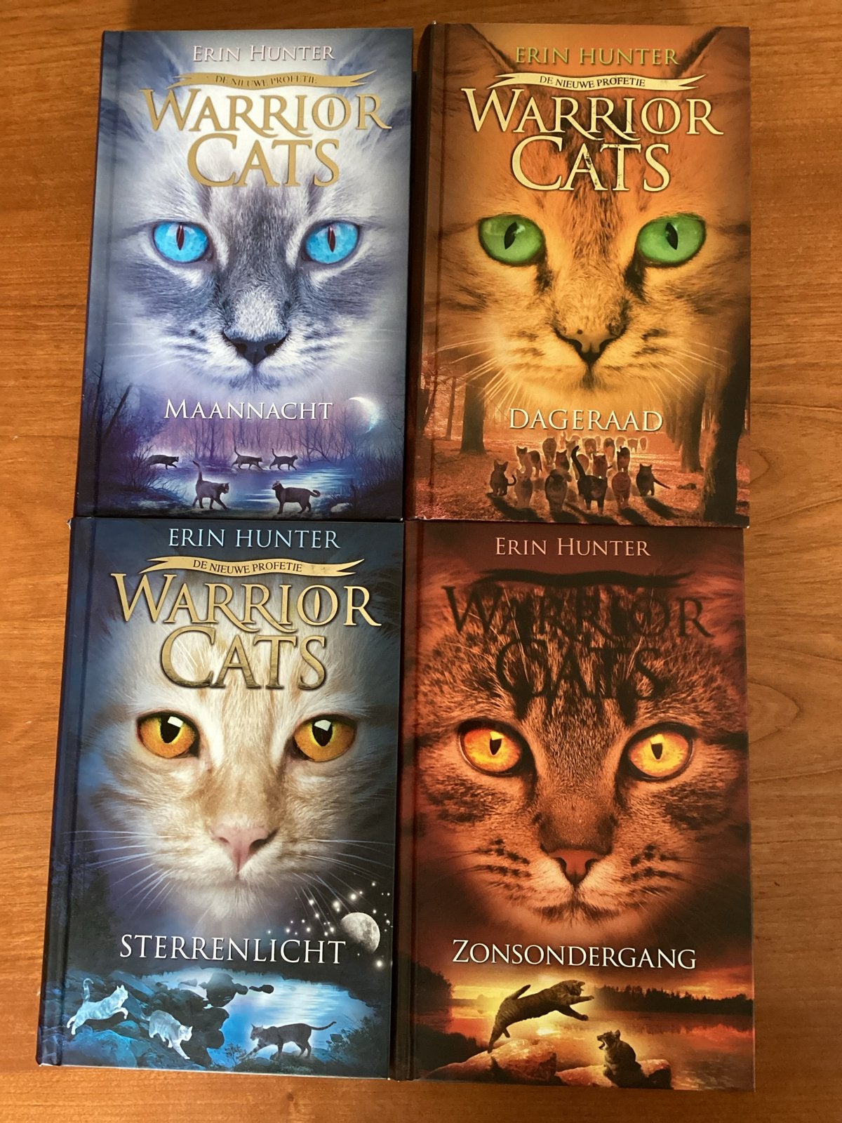 Warrior Cats: De Nieuwe Profetie Boek 2, 3, 4 en 6 Hardcover, Ophalen of Verzenden, Zo goed als nieuw