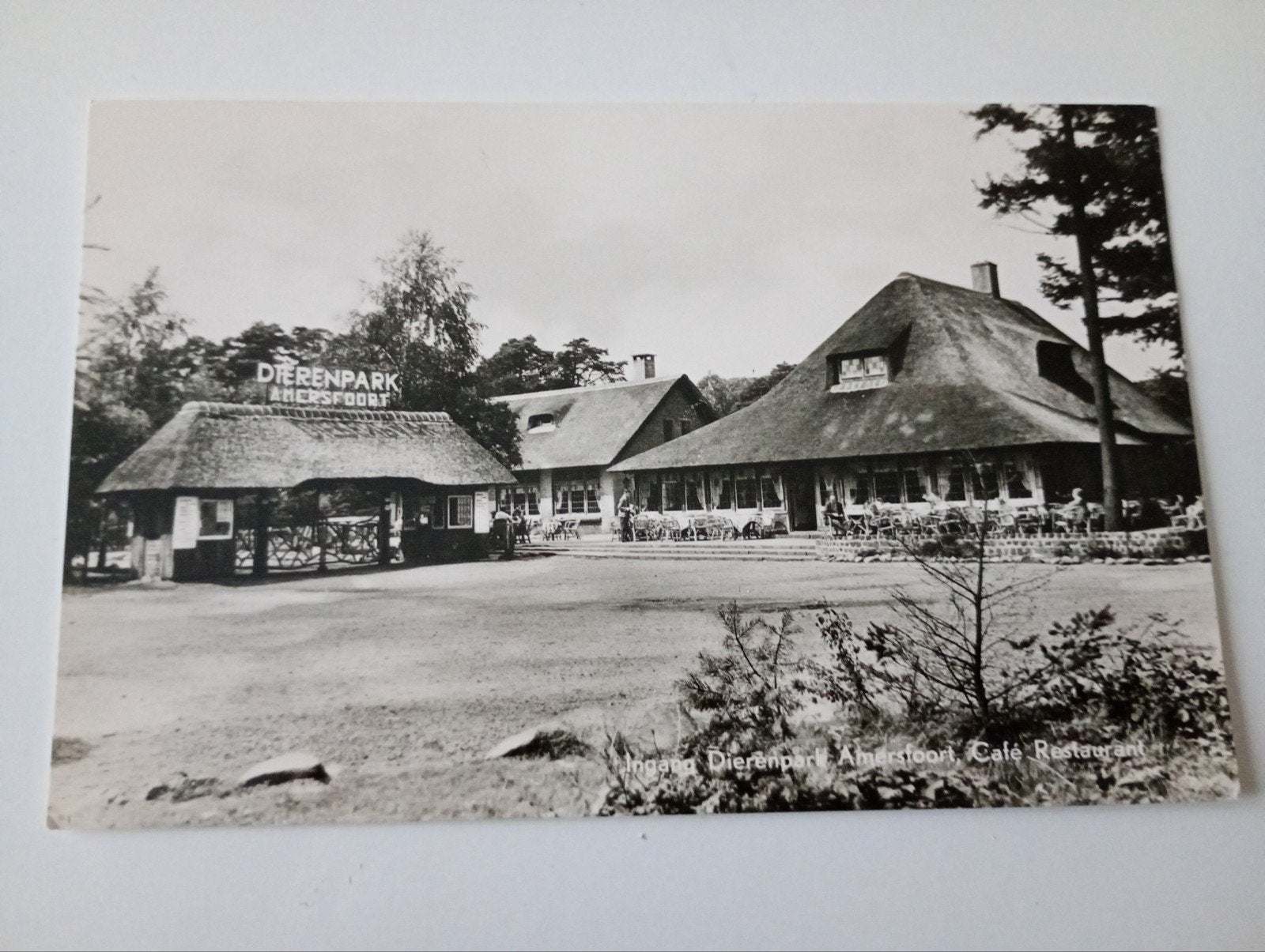 Amersfoort Ingang Dierenpark Café Restaurant, Verzamelen, Ansichtkaarten | Nederland, Ophalen of Verzenden, 1960 tot 1980, Ongelopen
