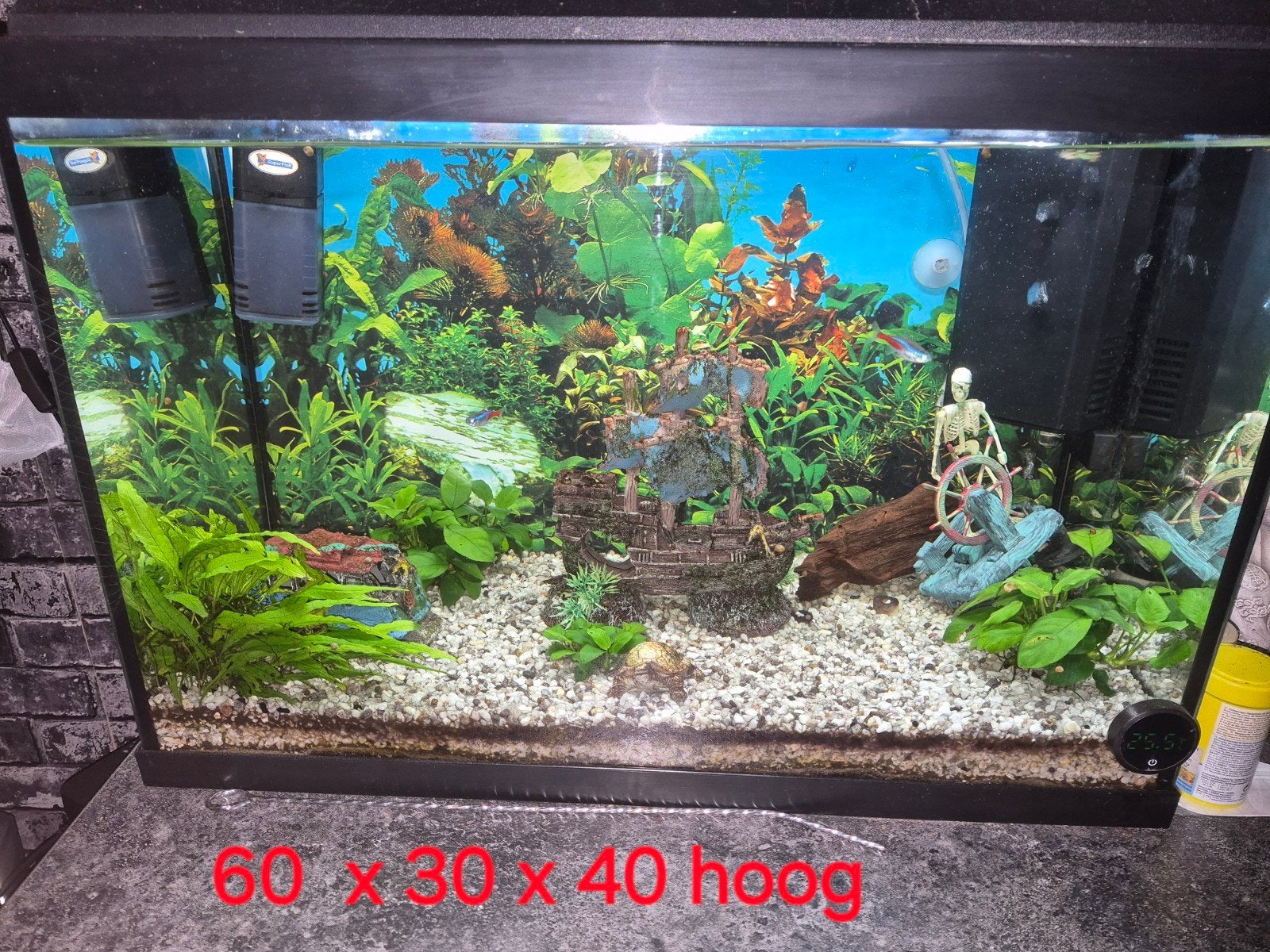 aquarium met toebehoren., Ophalen, Zo goed als nieuw