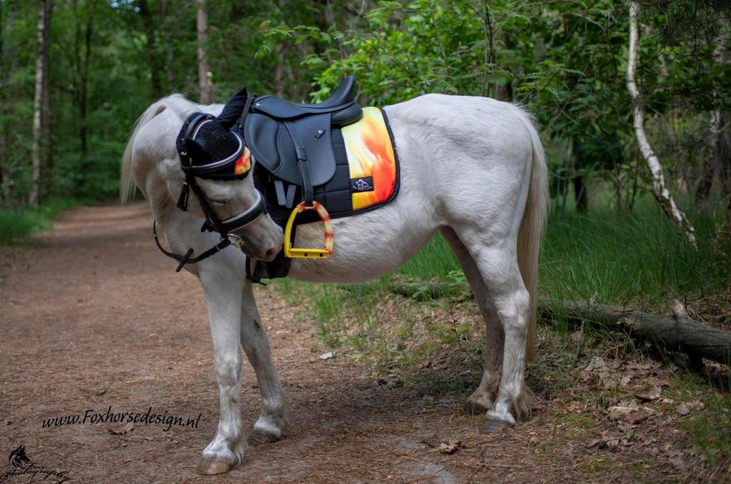Sale! Pony dressuuur dekje inferno, Ophalen of Verzenden, Nieuw