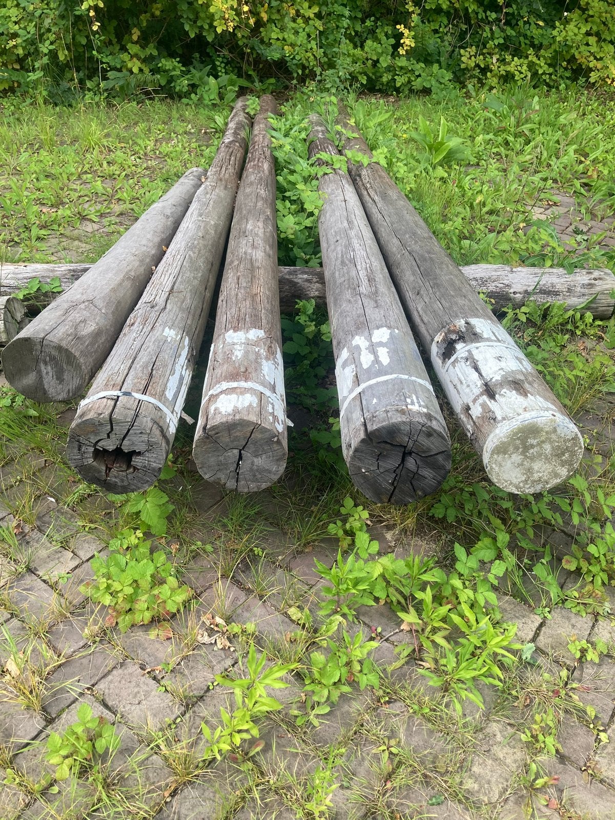 Ronde hardhouten palen met witte kop, overkapping, veranda, Tuin en Terras, Palen, Balken en Planken, Ophalen, Gebruikt, Palen
