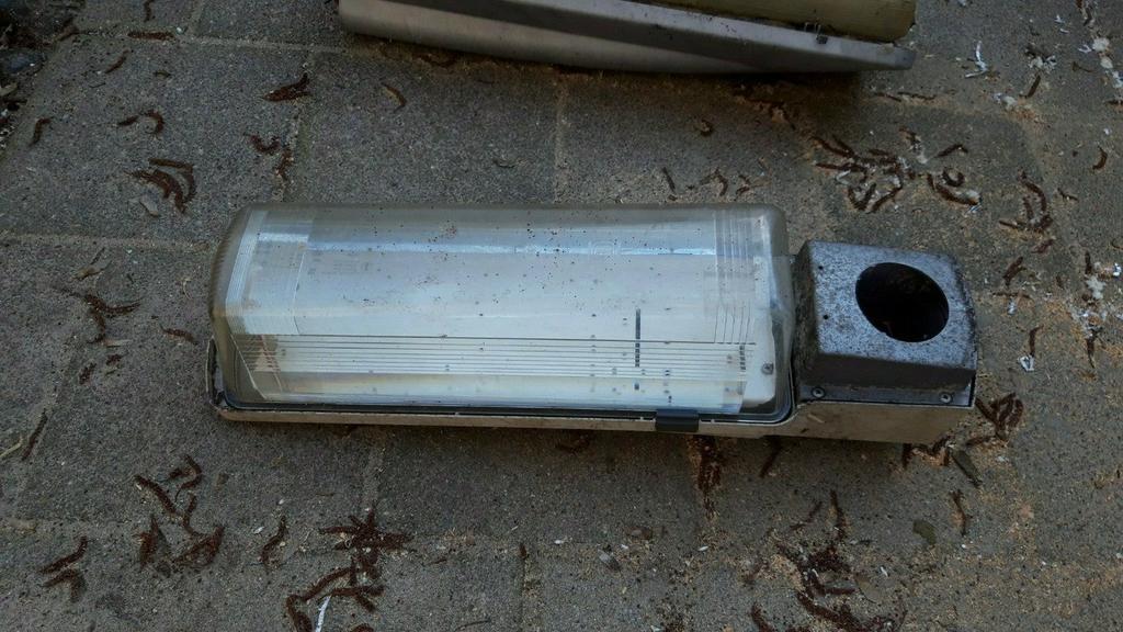 Industriastraatlantaarnkop, Ophalen of Verzenden, Netvoeding, Minder dan 50 watt