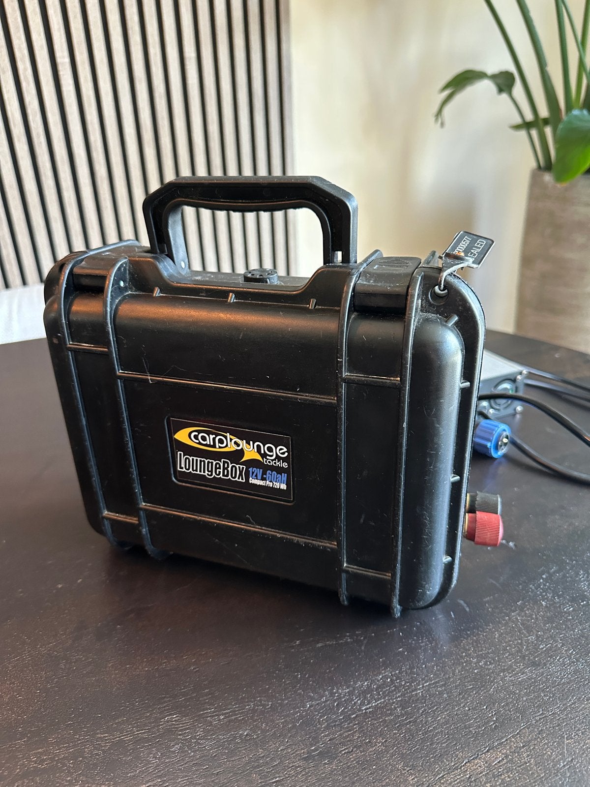 Carplounge Loungebox 12V 60AH Accu met Oplader, Ophalen, Gebruikt, Oplaadbaar