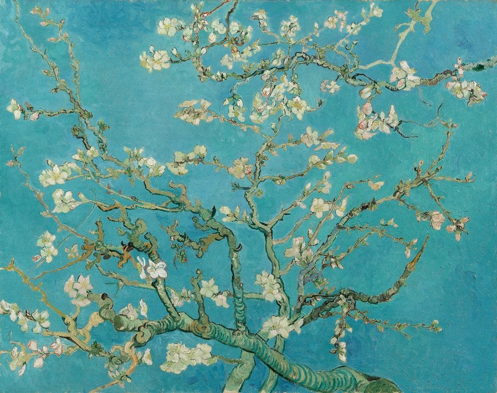 Van Gogh: prachtige kunstprints op canvas. Van de kenners!, Antiek en Kunst, Kunst | Schilderijen | Klassiek, Impressionistisch