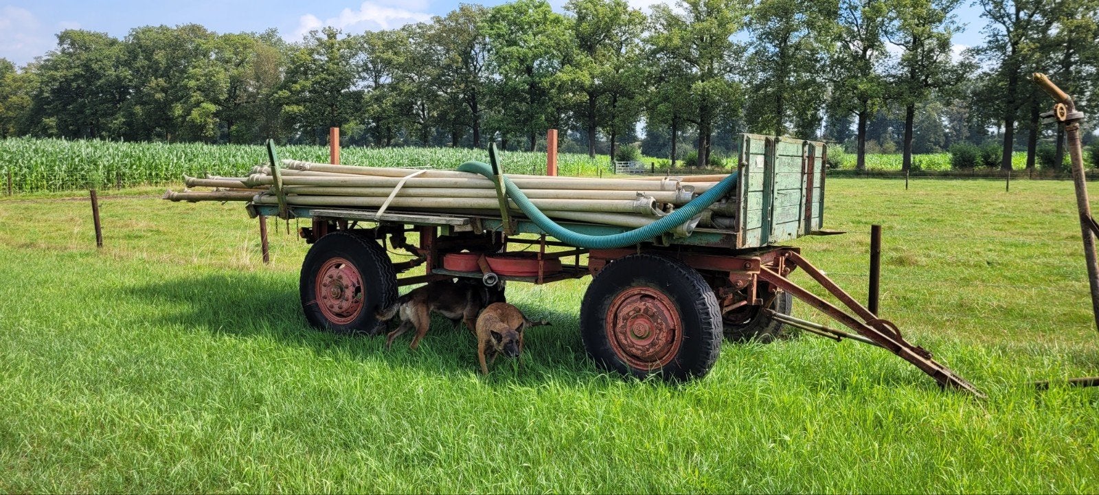 Beregenings buizen met sproeiers en hulpstukken, Ophalen of Verzenden