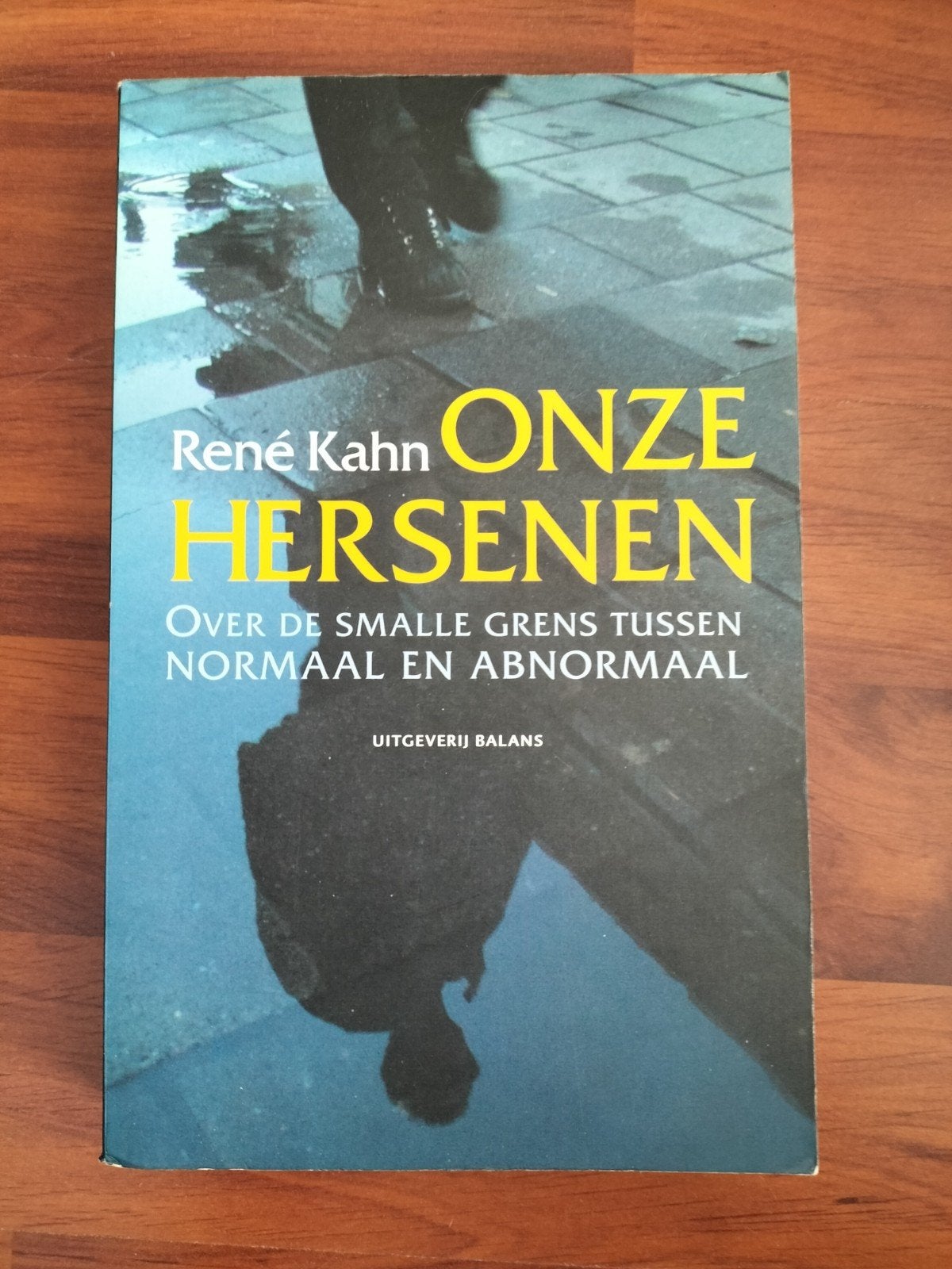 Onze Hersenen - René Kahn (Psychologie), Boeken, Ophalen of Verzenden, Zo goed als nieuw, Klinische psychologie, René Kahn