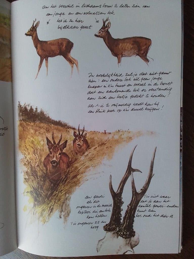 Rien Poortvliet - ...de vossen hebben holen, Gelezen, Rien Poortvliet, Ophalen of Verzenden, Natuur algemeen