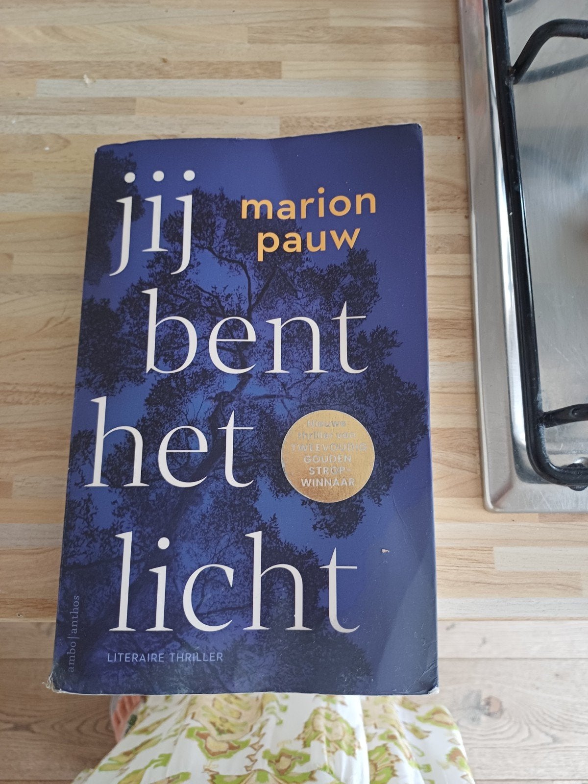Marion Pauw jij bent het licht, Ophalen of Verzenden, Zo goed als nieuw