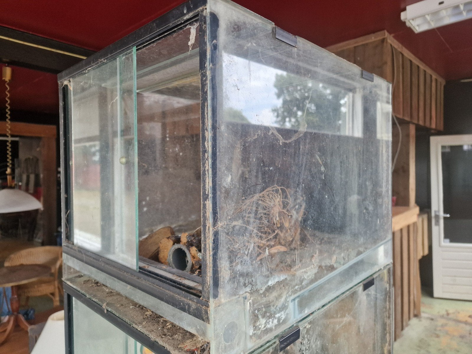 10x Terrarium: Paludarium kikker hagedis met watergoot voor, Gebruikt, Ophalen of Verzenden, Nb, Nb